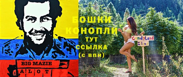 шишки Грязи