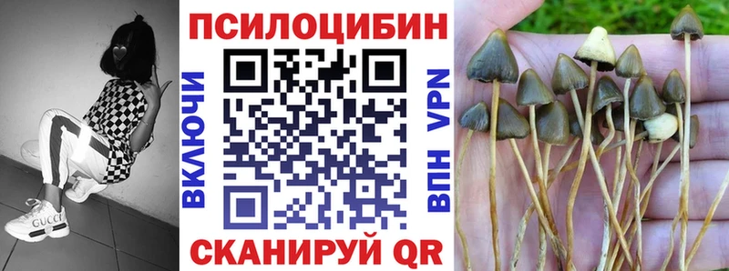 KRAKEN онион  Красавино  Псилоцибиновые грибы прущие грибы  где продают наркотики 